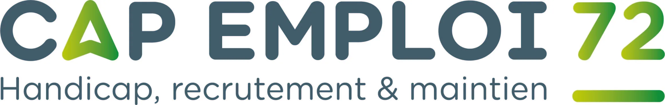 CAP-EMPLOI_LOGO-72
